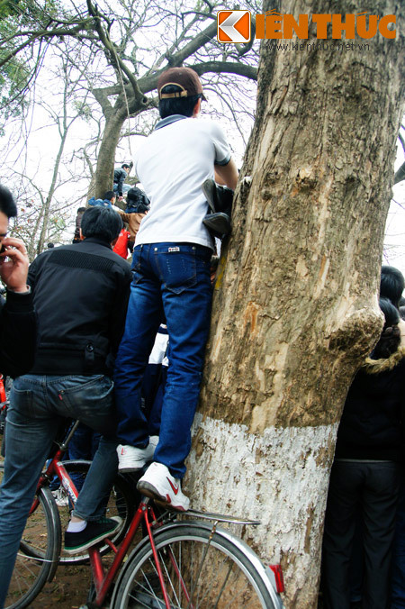 Không có xe máy thì dùng xe đạp.