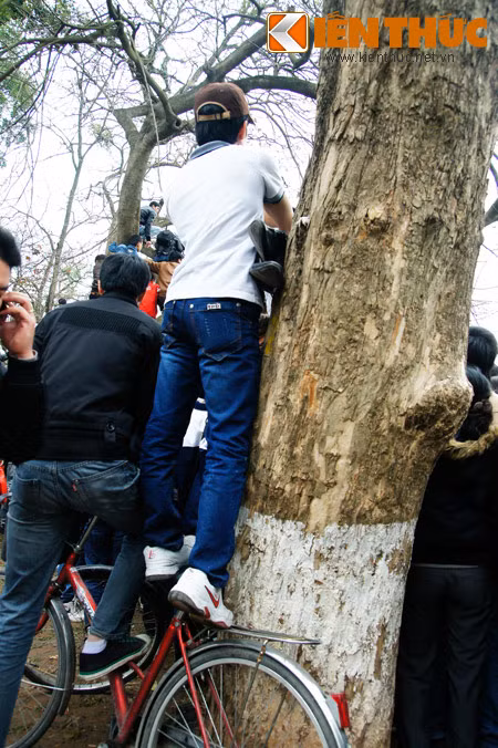 Không có xe máy thì dùng xe đạp.