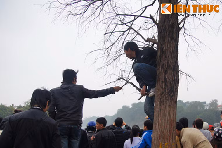 Tư thế có phần khốn khổ của một "khán giả".