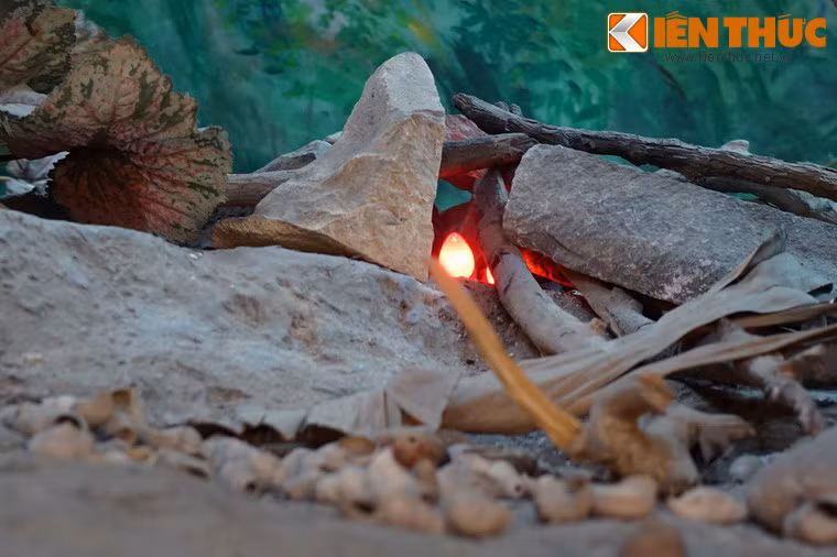 Lửa là một yếu tố rất quan trọng trong đời sống thời tiền sử, có vai trò sưởi ấm, chiếu sáng, nấu chín thức ăn, xua đuổi thú dữ.