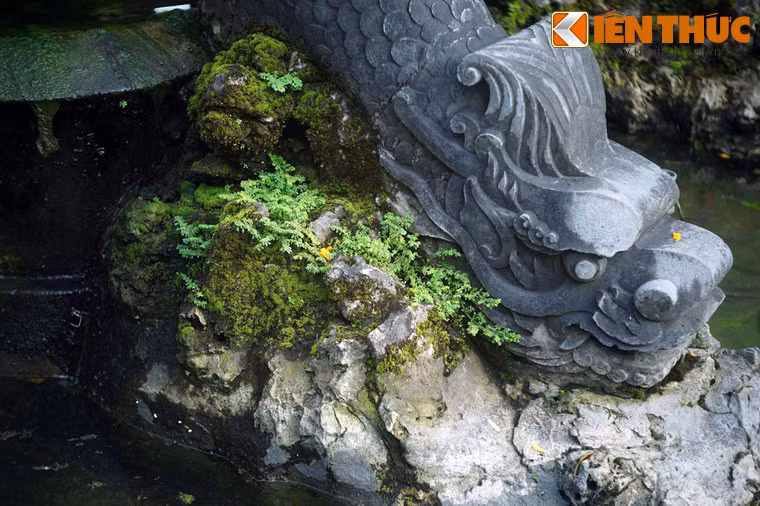 Người dân Hà Nội hồi đó đã kéo đến xem hai người đi dạo trên vườn hoa Con Cóc. Danh hài nổi tiếng thế giới đã sánh bước cùng hôn thê qua đài phun nước trong bộ áo vét chỉnh tề, thay vì hình ảnh tuềnh toàng kinh điển trên màn ảnh.