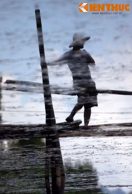 Đối với du khách lần đầu bước chân lên cầu khỉ, cây cầu này quả thực là một thách thức đáng sợ.