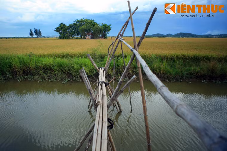 Đây là một loại cầu được làm rất đơn sơ bằng đủ loại chất liệu (thường thì bằng cây tre hoặc các loại gỗ rẻ tiền)... bắc qua kênh rạch để cho người qua lại.