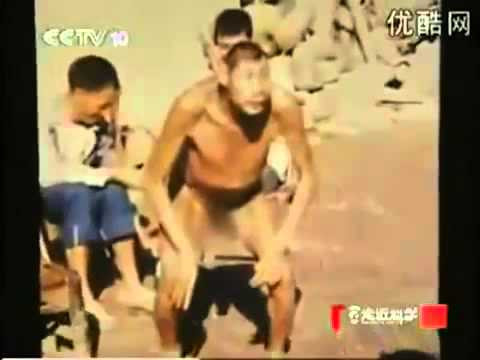 Đáng chú ý hơn cả là lời kể của mẹ người khỉ, khi bà khẳng định đứa con của mình là kết quả của một lần bà bị người rừng Yeren cưỡng bức.