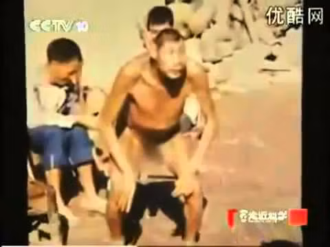 Đáng chú ý hơn cả là lời kể của mẹ người khỉ, khi bà khẳng định đứa con của mình là kết quả của một lần bà bị người rừng Yeren cưỡng bức.