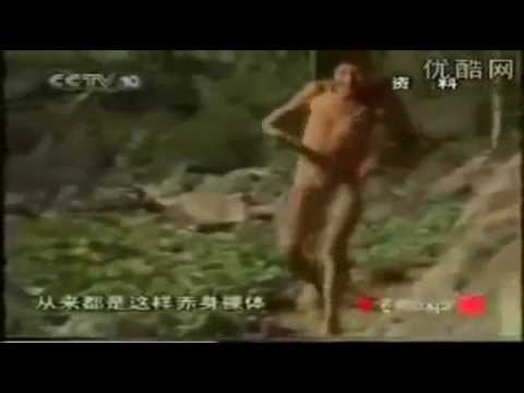 Thông tin về người khỉ khiến nhiều đoàn khoa học đã đổ về núi Thần Nông Giá để tiến hành nghiên cứu.