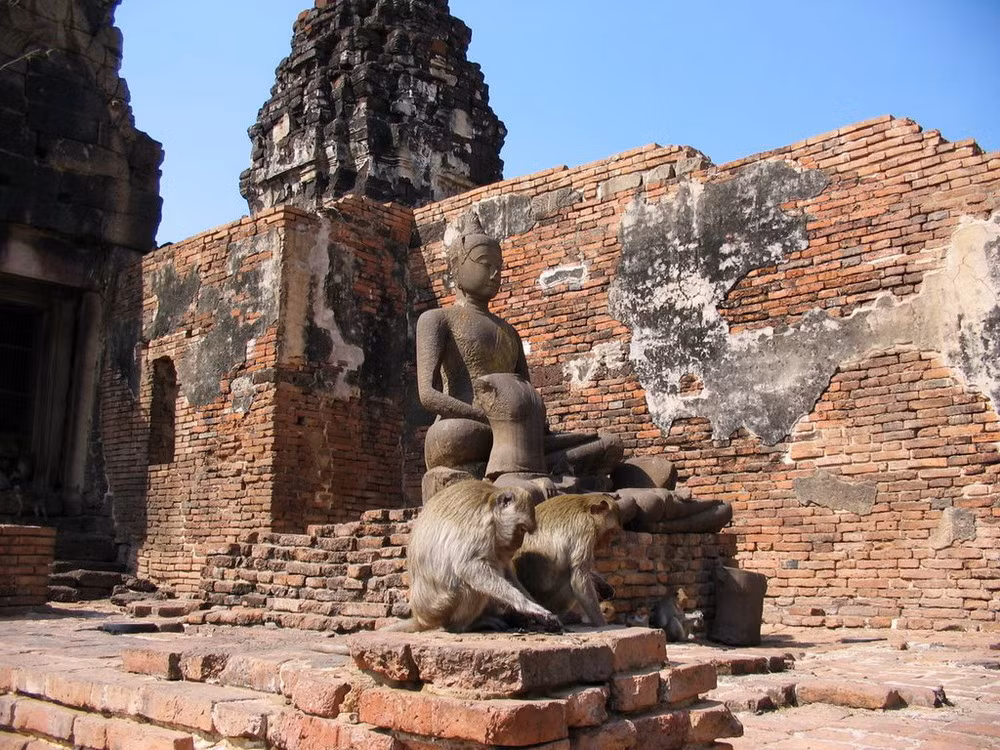 Trong hàng nghìn năm qua, người dân nơi coi khỉ là con cháu của Hanuman nên để chúng sống chung, không săn bắt hay xua đuổi.