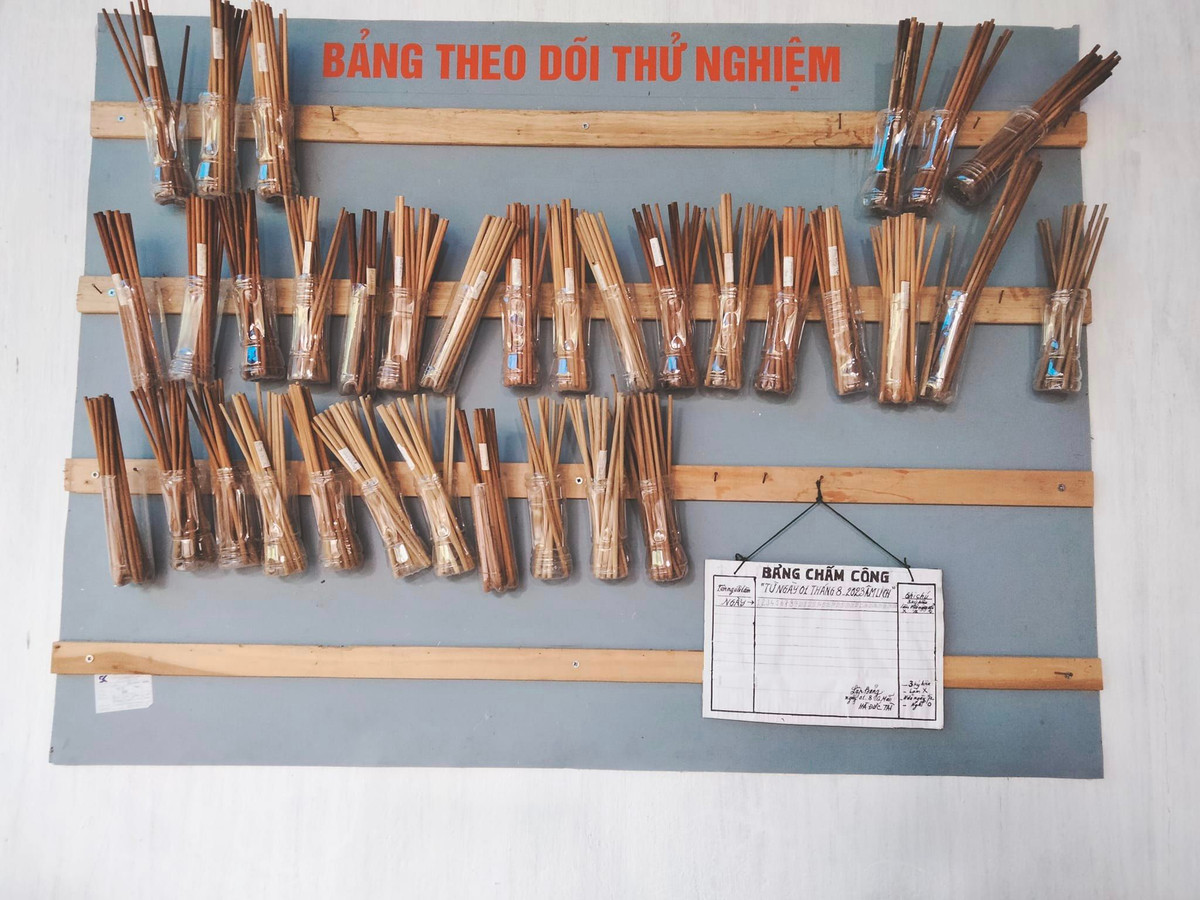 Anh nông dân sáng chế bộ máy làm đũa công suất 200 đôi/giờ - Hình 4 Anh nong dan sang che bo may lam dua cong suat 200 doi/gio-Hinh-4