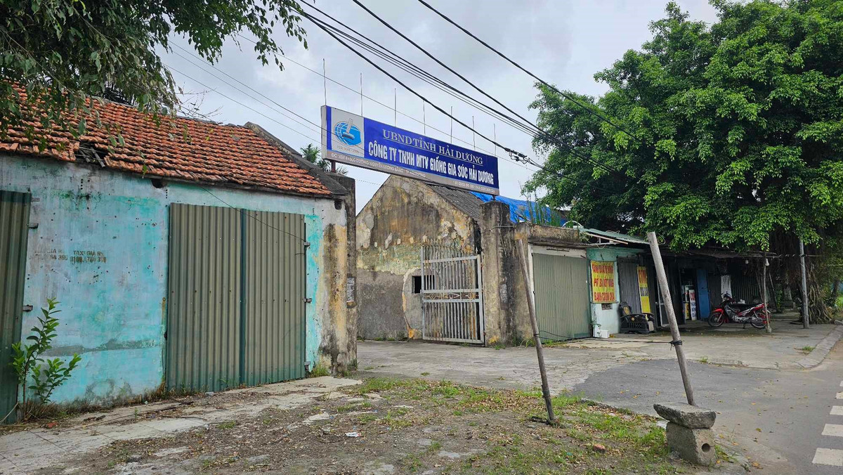 Cong ty giong gia suc Hai Duong chi con 1 lao dong, bi kien nghi giai the