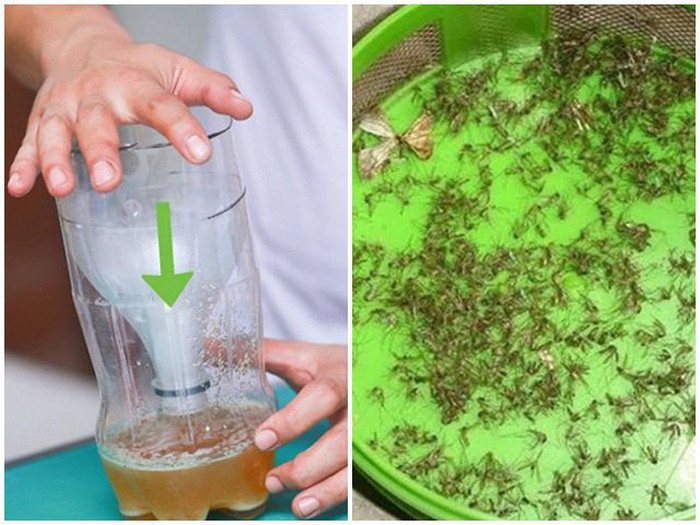 Meo khien muoi chet ca dan chi voi mot lon bia, hieu qua hon dung binh xit