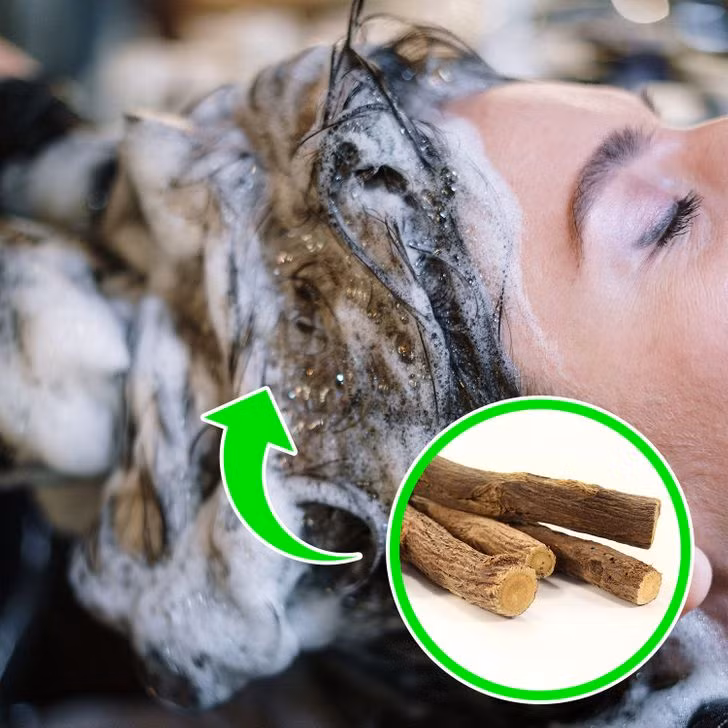 Gội đầu với cam thảo: Cam thảo có các lợi ích bao gồm kích thích chân tóc, hỗ trợ sự phát triển của tóc và giảm tóc mỏng. Một cách dễ dàng để sử dụng nó là trong dầu gội đầu. Bạn có thể thay thế sản phẩm trước đây bằng dầu gội thảo dược tự nhiên có chứa cam thảo và sử dụng hàng ngày.