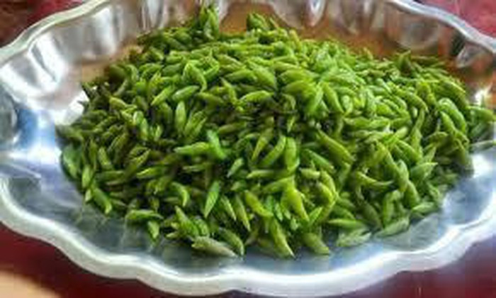 Nhộng muồng từ lâu đã trở thành món ăn quen thuộc được nhiều người biết đến từ buôn làng đến thành thị. Đến Tây Nguyên, bạn đừng quên thưởng thức món ăn độc đáo này. Ảnh: Internet. Video "Chế biến món ngon từ nấm đông cô". Nguồn: VTC.