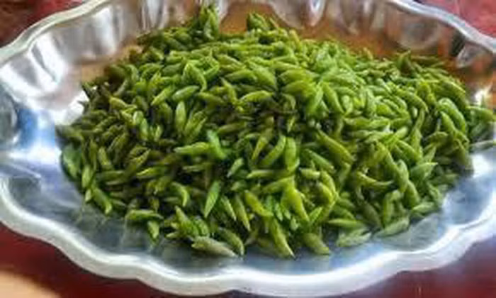 Nhộng muồng từ lâu đã trở thành món ăn quen thuộc được nhiều người biết đến từ buôn làng đến thành thị. Đến Tây Nguyên, bạn đừng quên thưởng thức món ăn độc đáo này. Ảnh: Internet. Video "Chế biến món ngon từ nấm đông cô". Nguồn: VTC.