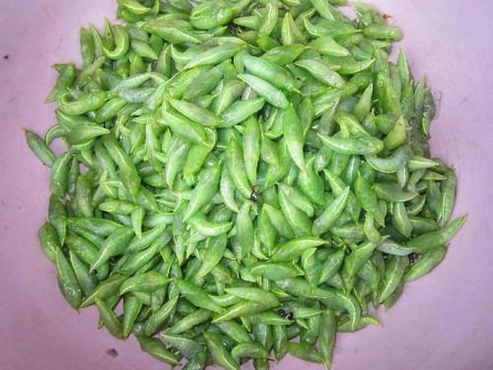 Tùy địa điểm mà giá nhộng muồng dao động khác nhau. Có thời điểm chỉ 20.000/kg, nhưng cũng có những lúc lên tới 150.000 đồng/kg.