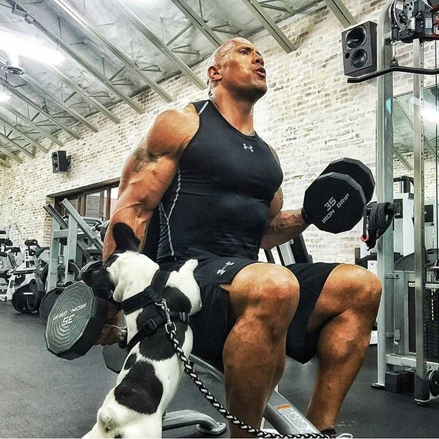 Mỗi ngày, The Rock nạp vào cơ thể khoảng hơn 5000 calo, trong đó có tới 5kg thịt, 1000 calo từ cá biển, anh ăn khoảng 12 quả trứng.