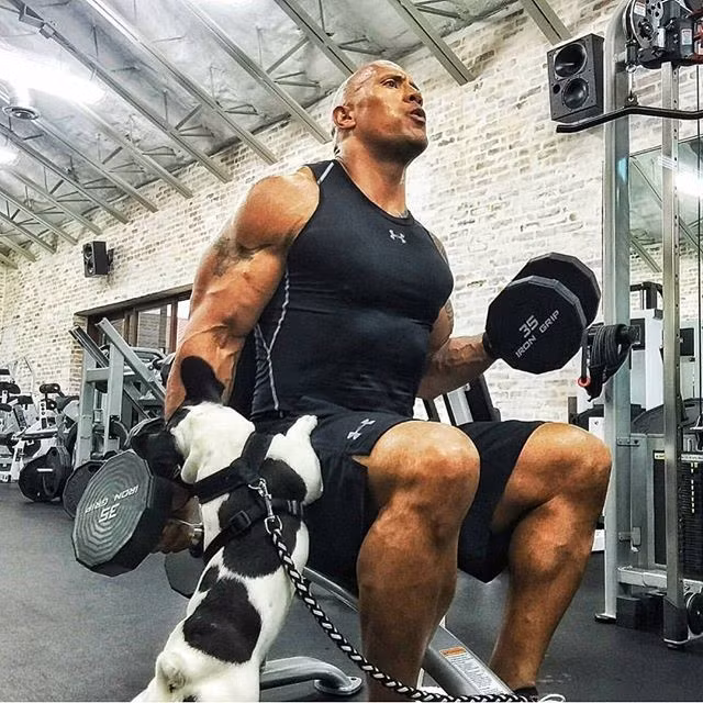 Mỗi ngày, The Rock nạp vào cơ thể khoảng hơn 5000 calo, trong đó có tới 5kg thịt, 1000 calo từ cá biển, anh ăn khoảng 12 quả trứng.