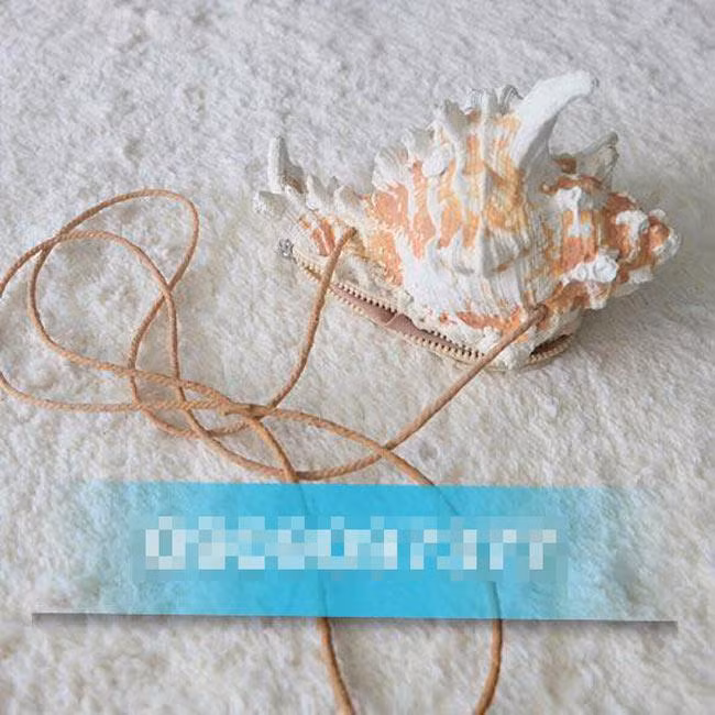 Chiếc túi độc đáo hình vỏ ốc biển gai góc.