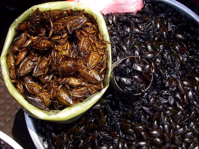 Cà niễng rang cùng với gia vị nêm nếm vừa miệng đó là món ăn giản dị và được đặt trong mâm cơm cùng với các món canh rau.