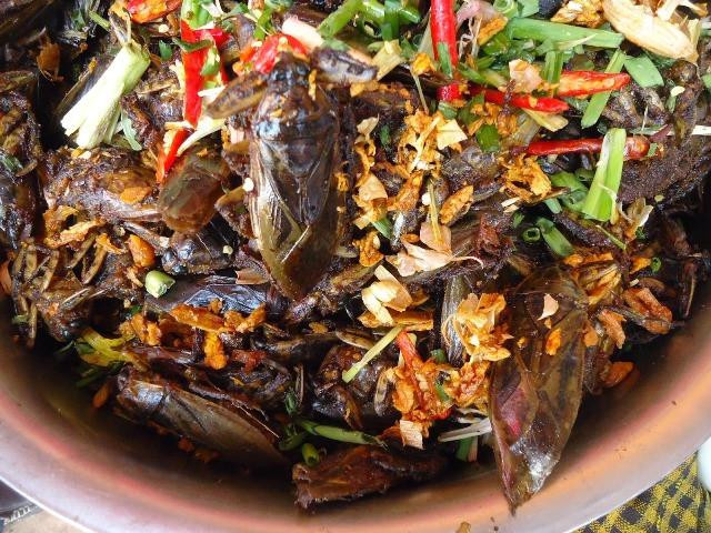 Cà niễng mang về cần vặt hết chân, bỏ cánh, moi bụng rồi rửa sạch, để cho khô nước. Tiếp đó, đầu bếp chỉ cần rang lên, nêm mắm muối vừa phải là đã thành một món ăn đồng quê đích thực. Có người sành ăn hơn, nhất thiết yêu cầu món ăn phải được thêm vào chút nước muối cà.