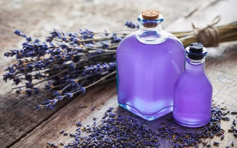 Tinh dầu oải hương mang hương thơm nhẹ nhàng và có tác dụng rất lớn trong việc chống oxy hóa, giúp da mau phục hồi, bảo vệ da cũng như kháng khuẩn.