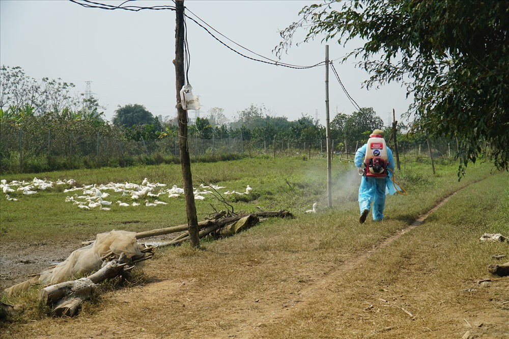 Khong chi COVID-19, dan Ha Noi doi pho cac dich benh gi luc nay?-Hinh-2