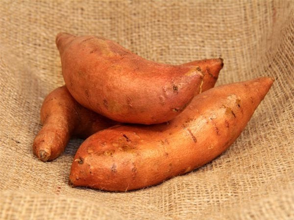 Khoai lang là món ăn rất phổ biến, nhưng không phải ai cũng biết đây cũng là thực phẩm góp phần ngăn ngừa ung thư hiệu quả, trong đó có ung thư tụy. Theo các chuyên gia, vitamin C, beta carotene có trong thành phần của khoai lang có tác dụng rất tốt trong việc ngăn ngừa căn bệnh ung thư tụy.