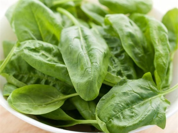 Rau bina (cải bó xôi): Với hàm lượng vitamin B phong phú, rau bina được biết đến là “phương thuốc” hữu hiệu để điều trị viêm tụy. Không chỉ vậy, loại rau này cũng có tác dụng rất tốt trong việc hỗ trợ nâng cao sức khỏe con người, tăng sức đề kháng chống lại bệnh tật.