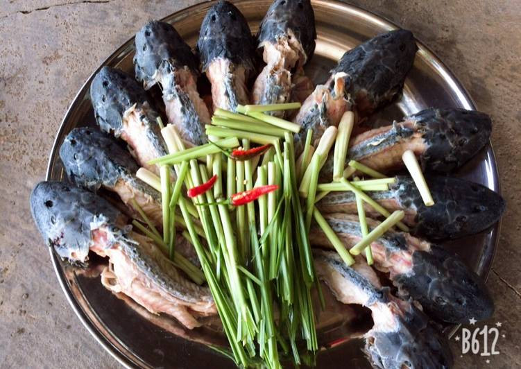 Món cá lau kiếng hầm nước dừa thường được ăn nóng cùng các loại rau sống, cách thưởng thức như ăn lẩu. Ngoài ra, ăn món này cùng cơm cũng rất ngon bởi thịt cá vốn đã ngọt và chắc, lại thấm đều cùng nước dừa thì còn gì tuyệt vời bằng.