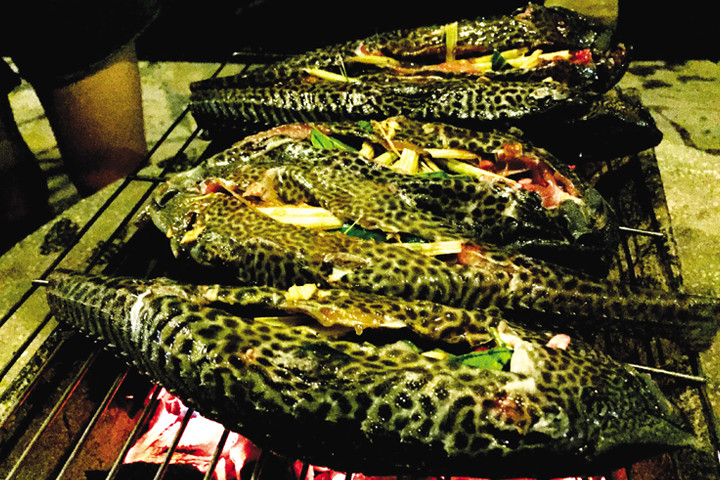 Cá lau kiếng thịt ngon nhưng khi còn sống mùi sẽ rất tanh. Vậy là người miền Tây nghĩ ra cách nhét thêm sả vào bụng cá. Như vậy, khi cá chín sẽ có mùi thơm tự nhiên, lại không còn mùi tanh.