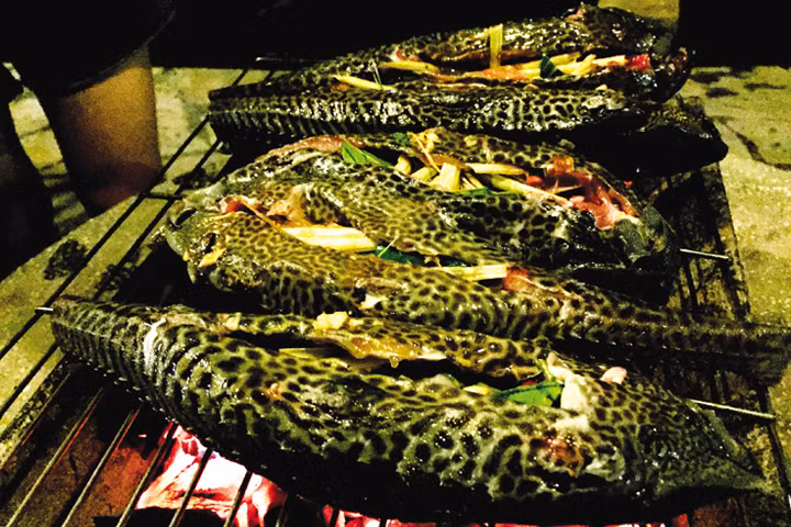 Cá lau kiếng thịt ngon nhưng khi còn sống mùi sẽ rất tanh. Vậy là người miền Tây nghĩ ra cách nhét thêm sả vào bụng cá. Như vậy, khi cá chín sẽ có mùi thơm tự nhiên, lại không còn mùi tanh.