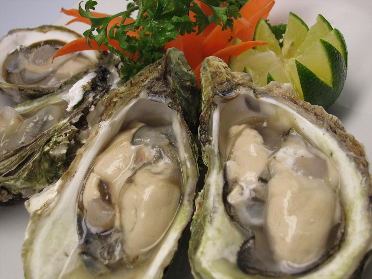 Hàu là loại hải sản được ăn tái với chanh hoặc mù tạt. Tuy món hàu sống cung cấp nhiều chất đạm, vitamin, kẽm... cho cơ thể nhưng chúng cũng mang vi khuẩn họ Vibrio gây bệnh tả.