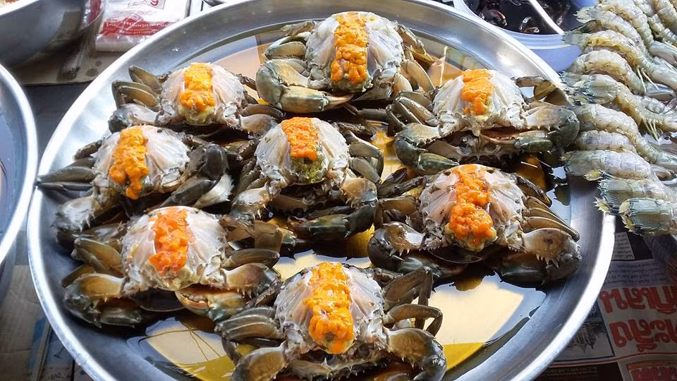 Trong thịt cua sống có chứa nang trùng “lungfluke” (một loại trùng hút máu phổi, còn gọi là đỉa phổi), nếu không qua khử trùng tiêu độc ở nhiệt độ cao mà ăn sống ăn tái kiểu “gỏi cua” sẽ rất dễ mắc bệnh “đỉa phổi”. Loại lungfluke ký sinh trong phổi, không những kích thích hoặc phá hoại các tổ chức phổi, dẫn tới ho, khạc ra máu, mà còn có thể xâm nhập lên não, dẫn tới chứng co giật, thậm chí gây bại liệt. Bởi vậy cua phải nấu thật chín mới được ăn, phải qua đun sôi tối thiểu 20-30 phút.