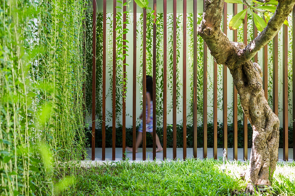 Các hành lang xanh chạy bao quanh các khoang của ngôi nhà và kết nối thẳng ra sân vườn.