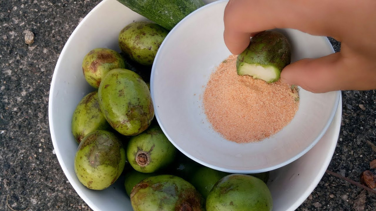 Tuổi thơ 8X, 9X gắn với trái cây quanh vườn như mơ, xoài, ổi, cóc... khi đó chỉ cần có một gói bột canh chua cay nhỏ trong gói mì tôm Hảo Hảo cực kỳ quý. Ảnh: Internet. Video "Chế biến món ngon từ nấm đông cô". Nguồn: VTC.