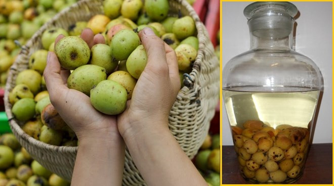 Táo mèo Tú Lệ được mệnh danh là loại táo ngon nhất xứ Tây Bắc. Mùa hoa táo mèo nở rộ vào tháng 3. Vào những ngày tháng 9, khi những cánh đồng lúa Tú Lệ thơm nức mùi lúa chín cũng là mùa thu hoạch táo mèo. Táo mèo ăn có vị chát, thường dùng để ngâm rượu. Đây là thứ rượu dân dã nhưng vô cùng độc đáo.