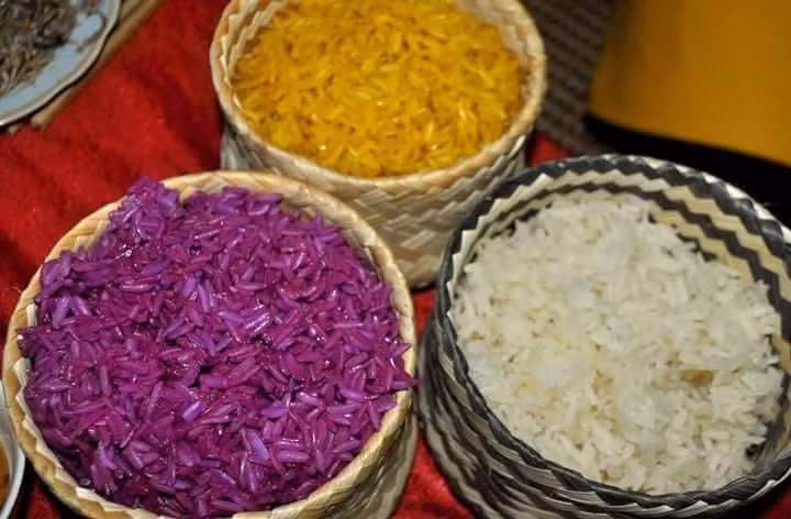 Xôi nếp Tú Lệ: Nếu đến Tú Lệ hoặc các vùng khác của Mù Căng Chải dịp lúa chín, bạn tuyệt đối không được bỏ lỡ món xôi nếp, được nấu từ gạo nếp trồng trên những thửa ruộng bậc thang.