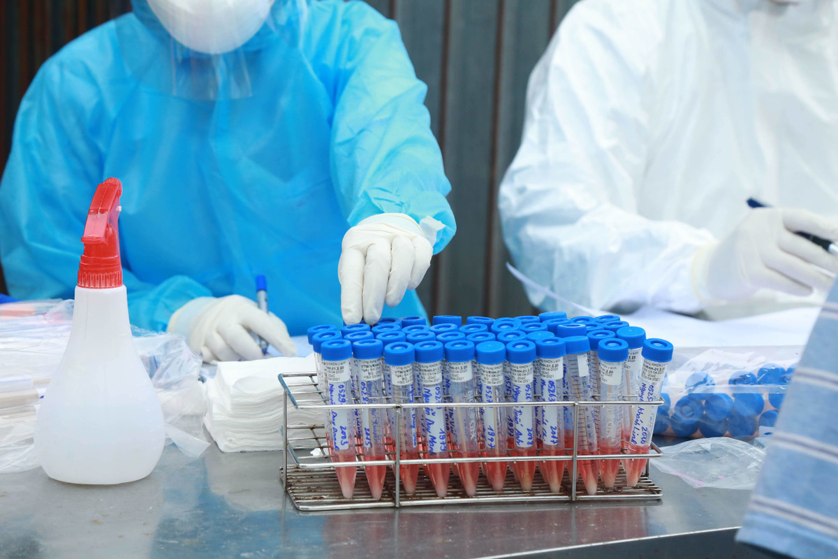 Can canh thon Ha Loi xit khu trung tung mo rau, con ga ngay cach ly-Hinh-14