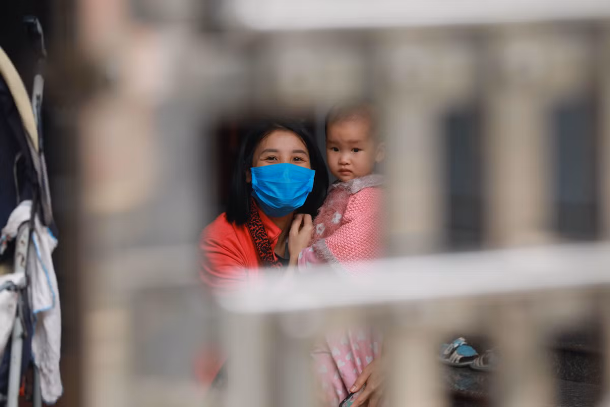 Can canh thon Ha Loi xit khu trung tung mo rau, con ga ngay cach ly-Hinh-5