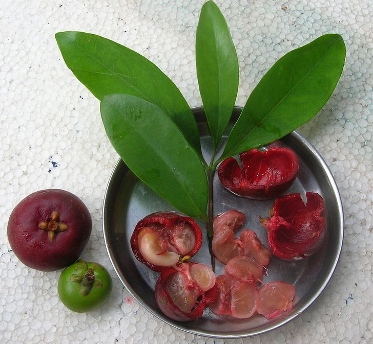 2. Quả Kokum: Theo chuyên gia này, những quả mọng này rất cần thiết để duy trì cơ thể khỏe mạnh. Siêu thực phẩm không chỉ giàu các chất dinh dưỡng, mà chúng còn hữu ích với chứng viêm vì chúng giúp thu nhỏ vết loét và làm dịu dị ứng.