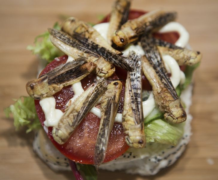 9. Côn trùng: Một nghiên cứu chỉ ra rằng ăn côn trùng có thể có ảnh hưởng rất lớn đến vi khuẩn sinh học của chúng ta và làm giảm huyết tương có liên quan đến chứng viêm.