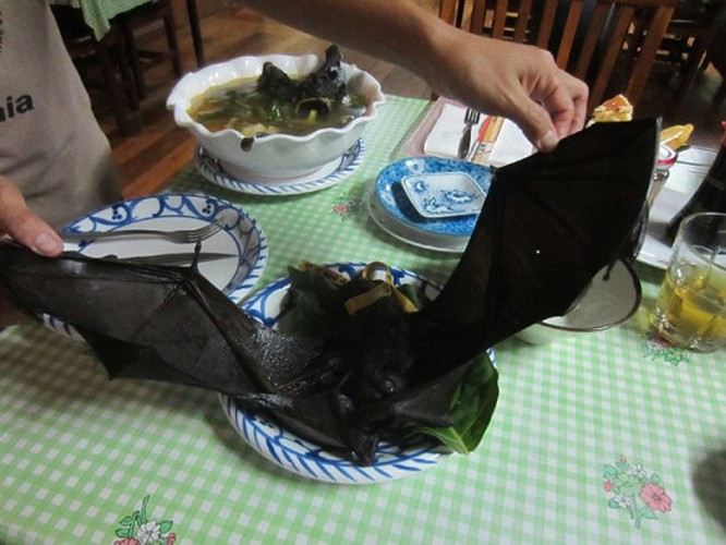 Mặc dù các chuyên gia y tế đã đưa ra nhiều khuyến cáo về mức độ nguy hiểm của việc tiêu thụ thịt dơi nhưng không ít người vẫn coi chúng là món ăn khoái khẩu và bổ dưỡng. Trên thực tế, món ăn từ dơi tiềm ẩn nguy cơ nhiễm khuẩn và có thể gây chết người.