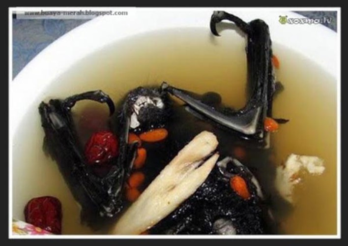 Món súp dơi có khâu chế biến khá sơ sài, không hề có công đoạn làm lông hay mổ nội tạng.