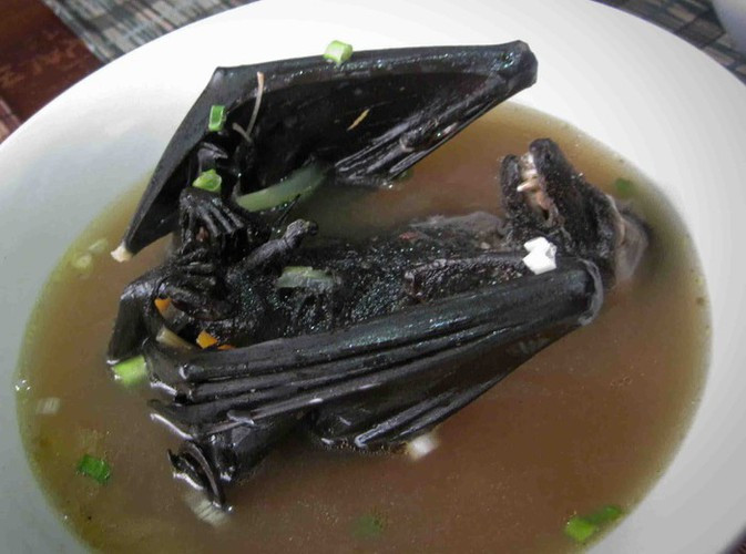 Món súp dơi được đánh giá rất nguy hiểm và có thể gây tử vong nếu không được nấu chín đúng cách.