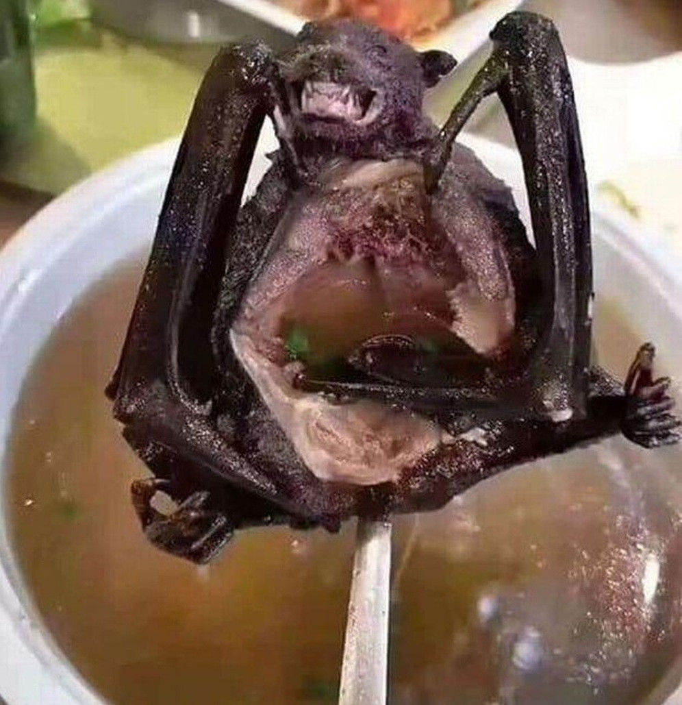 Trả lời phỏng vấn tờ South China Morning Post, các nhà nghiên cứu từ Viện hàn lâm Khoa học Trung Quốc cho biết bộ gen của virus gây bệnh viêm phổi cấp Vũ Hán giống 96% với một con dơi mang virus corona.