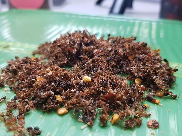  Muối kiến vàng được làm từ con kiến vàng sống ở trên cây cao. Nó có thành phần dinh dưỡng cao, đạm từ 42-67% và có 28 loại acid amin, là một loại kiến chân cao, thân hình màu vàng, làm tổ trên cây ở vùng rừng núi.