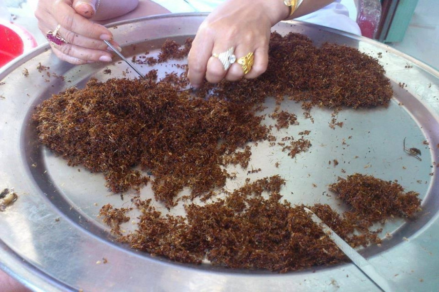 Món gia vị độc đáo này có từ rất lâu, nhờ vị ngon, ngày nay muối kiến vàng được nhiều người biết đến, xem như một đặc sản Tây Nguyên.