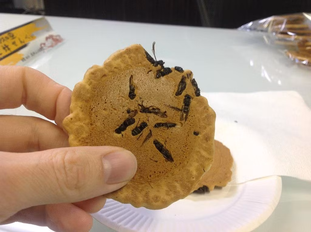 Bánh quy ong bắp cày (Jibachi Senbe): Người dân ở Omachi, tỉnh Nagano, Nhật Bản thường vào rừng đặt bẫy ong bắp cày về làm món bánh quy Jibachi Senbe nổi tiếng.