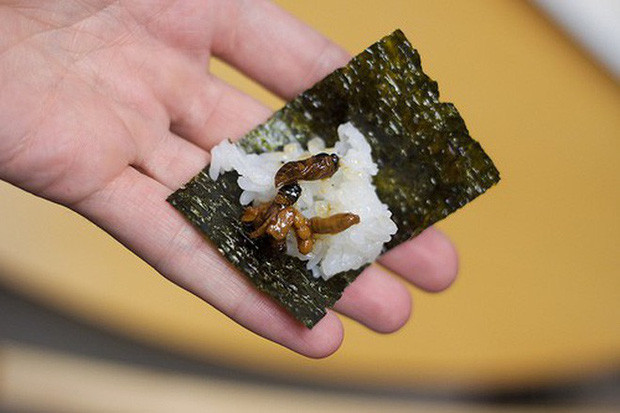 Hachinoko (nhộng ong): Hachinoko thường được chế biến sẵn và bày bán như một món đồ hộp ở Nhật. Người dân nơi đây cho rằng, khi ăn bạn sẽ cảm nhận được vị ngọt dịu, thanh thanh nguyên chất từ ong mang đến. Lớp ngoài của ấu trùng có độ giòn giòn nhưng bên trong lại có dẻo dai, mằn mặn lạ miệng.