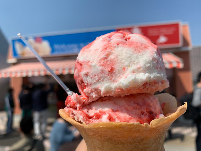 Kem thịt ngựa: Nhật Bản có những loại kem mà thực khách khó có thể tìm thấy ở đâu trên thế giới. Một trong số đó là kem thịt ngựa (Basashi). Ngoài hương vị giống thịt ngựa, trong hộp kem này còn có cả những miếng "thịt ngựa” được làm từ kẹo mềm. Ảnh: Internet. Mời độc giả xem video "Chế biến món ngon từ nấm đông cô". Nguồn: VTC.