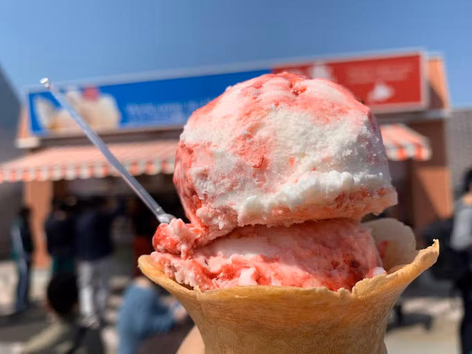 Kem thịt ngựa: Nhật Bản có những loại kem mà thực khách khó có thể tìm thấy ở đâu trên thế giới. Một trong số đó là kem thịt ngựa (Basashi). Ngoài hương vị giống thịt ngựa, trong hộp kem này còn có cả những miếng "thịt ngựa” được làm từ kẹo mềm. Ảnh: Internet. Mời độc giả xem video "Chế biến món ngon từ nấm đông cô". Nguồn: VTC.